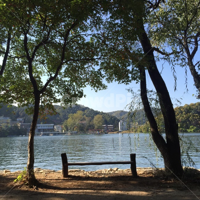 남이섬,벤치,가을,강,나무,자연,풍경,nature,landscape,tree,plant,식물,outdoors,옥외,water,물