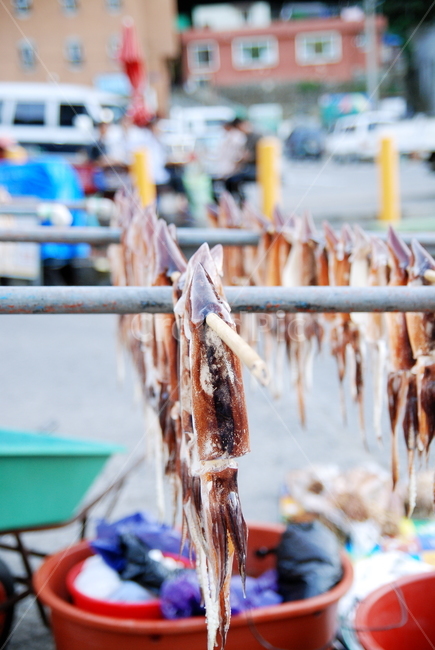 울릉도,섬,울릉군,오징어,건조,음식,식재료,요리,food,cook,meal,dishes,food reserves,수산물,해산물,fishery products,seafood