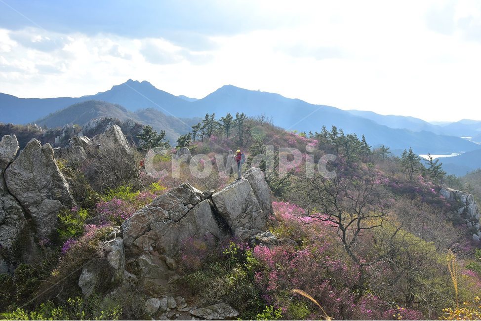 주작산,덕룡산,종주,진달래,풍경,기암,바위,비경,봄풍경,진달래꽃,강진,명산,산행,등산,마운틴,힐링,mountain,landscape,자연,natural,자연,풍경,nature,landscape,한국자연풍경,한국자연경관,korea nature landscape,outdoors,옥외,산,mountain range,산맥,person,사람,human,인간