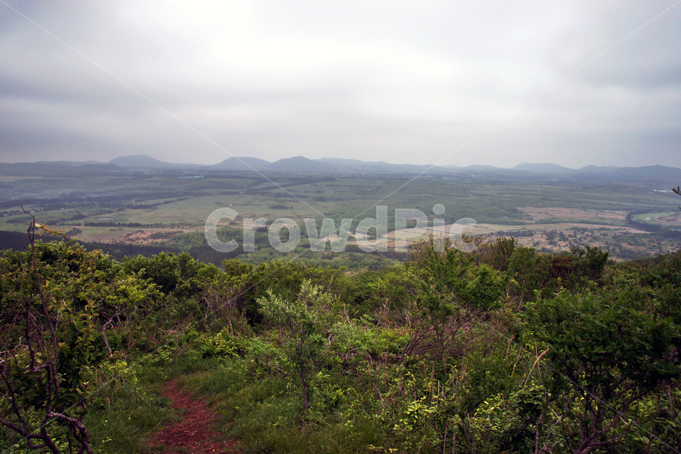 갑마장길,제주도,표선면,가시리,트레일,대록산,탐방로,자연,풍경,nature,landscape,제주도,jeju,jeju island