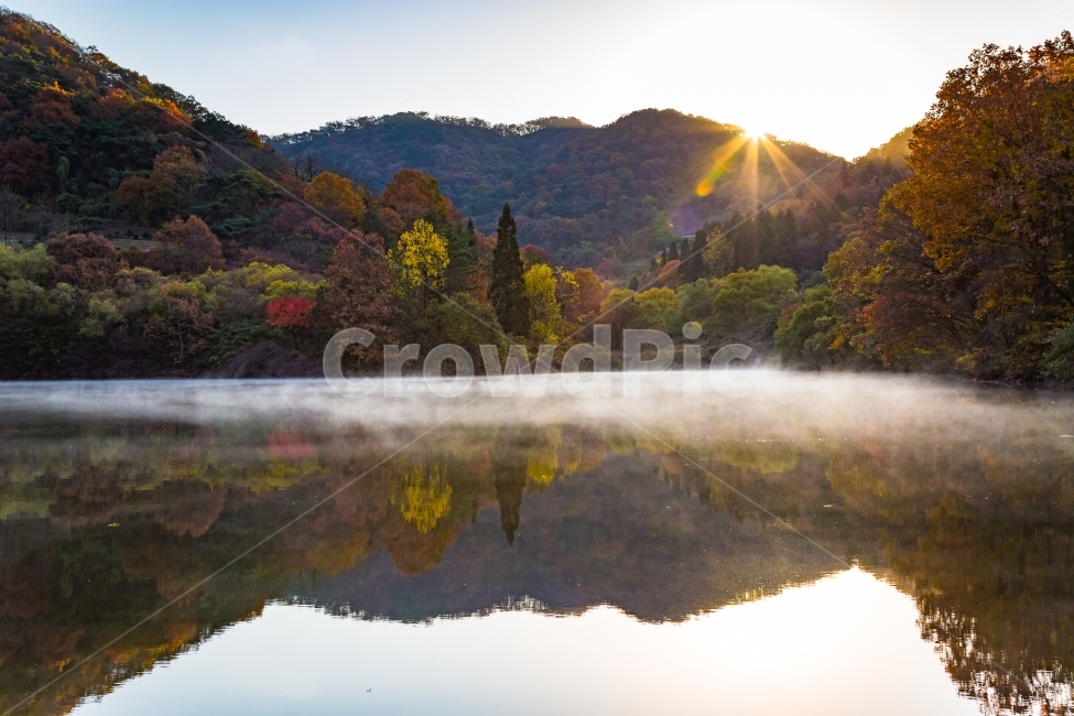 새량지,가을,단풍,반영,일출,자연,풍경,물안개,화순,가을,계절,fall,autumn,season,자연,풍경,nature,landscape,한국자연풍경,한국자연경관,korea nature landscape,light,빛,flare,플레어,tree,나무,fir,전나무,plant,식물,abies,아비,outdoors,옥외