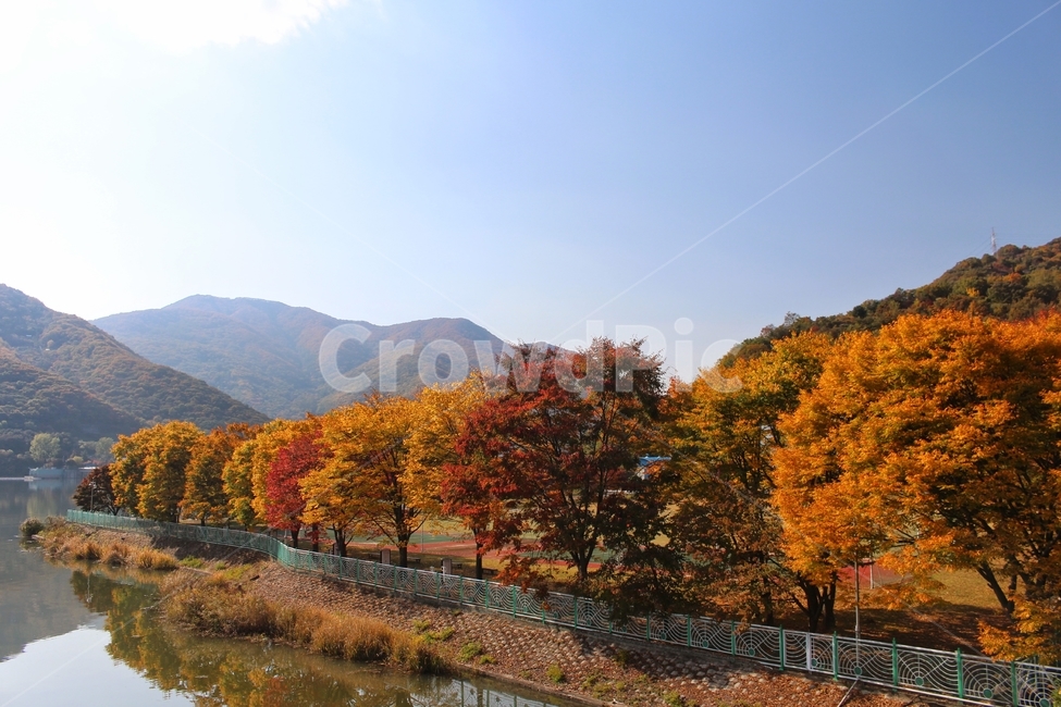 남양주,남한강,팔당,가을,단풍,가을,계절,fall,autumn,season,자연,풍경,nature,landscape,한국자연풍경,한국자연경관,korea nature landscape,tree,나무,plant,식물,outdoors,옥외