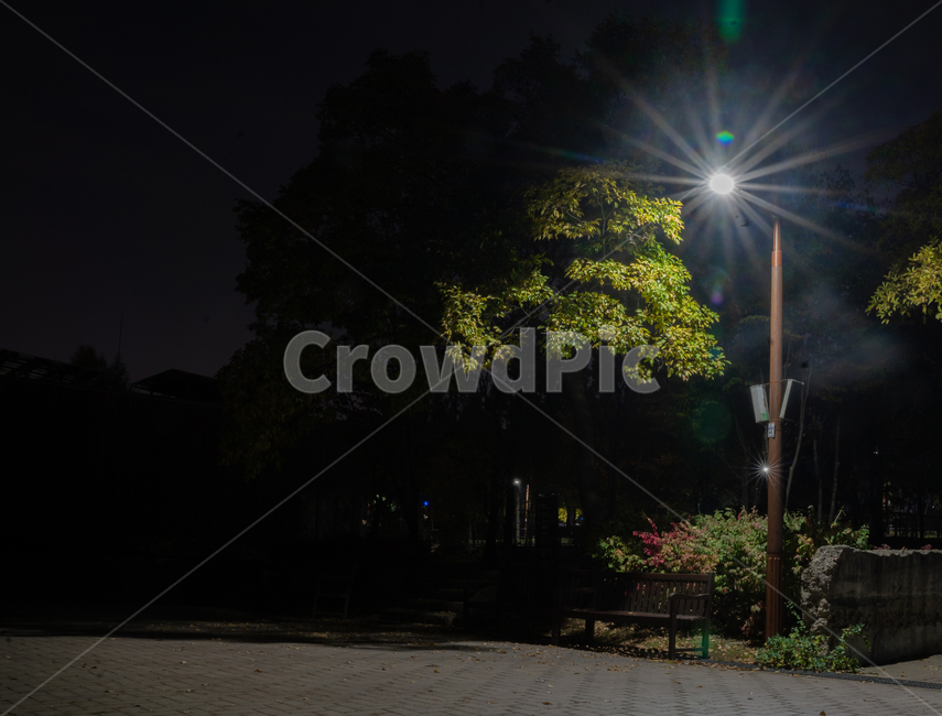 path,통로,walkway,보도,빛,flare,플레어,공원,의자,벤치,야경,밤,풍경,nightscape,night,landscape