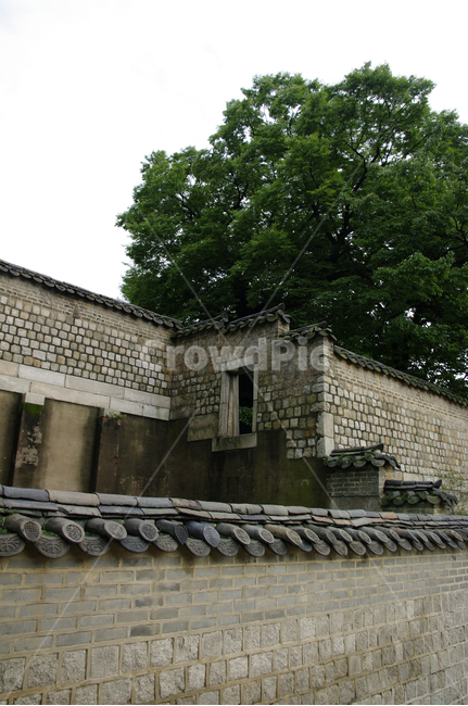 전통,나무,담장,기와,무늬,한국전통,한국문화,korean traditional,korean culture,건축물,건물외관,exterior,building,structure,architecture,construction