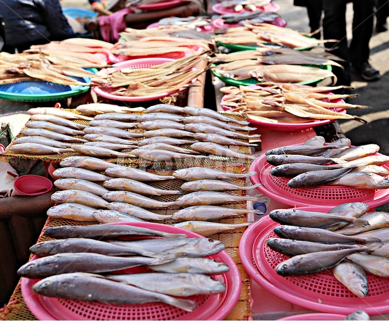 생선,반건조생선,조기,풍경,배경,먹거리,시장,마트,마켓,market,mart,market place,음식,식재료,요리,food,cook,meal,dishes,food reserves,수산물,해산물,fishery products,seafood