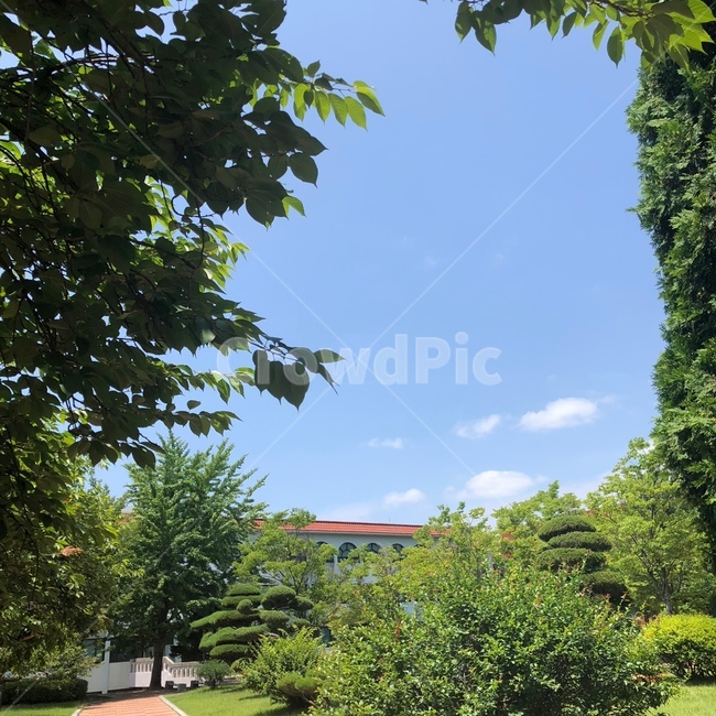 하늘,구름,나무,풍경,자연,자연,풍경,nature,landscape,outdoors,옥외,tree,plant,식물,garden,정원