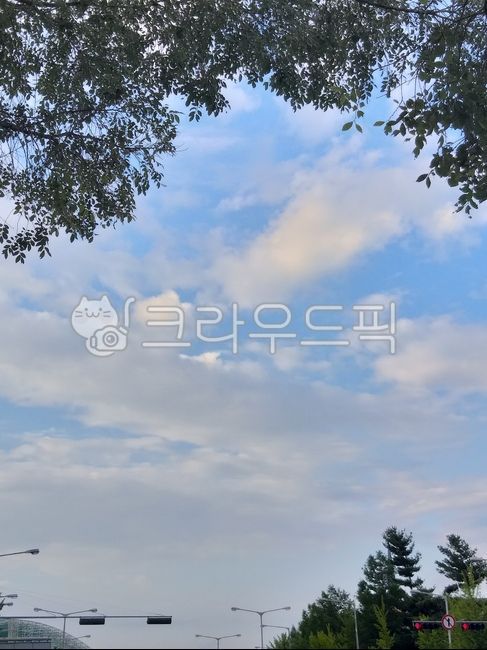 sky,cloud,shade,downtown,Traffic Light