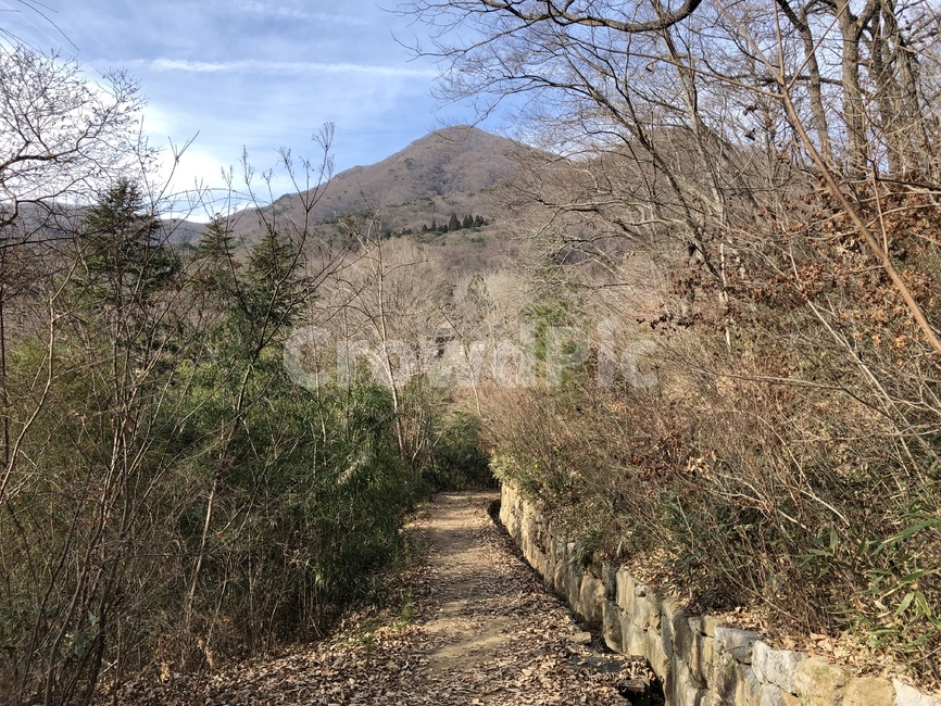 dirtroad,흙길,겨울,winter,산책길