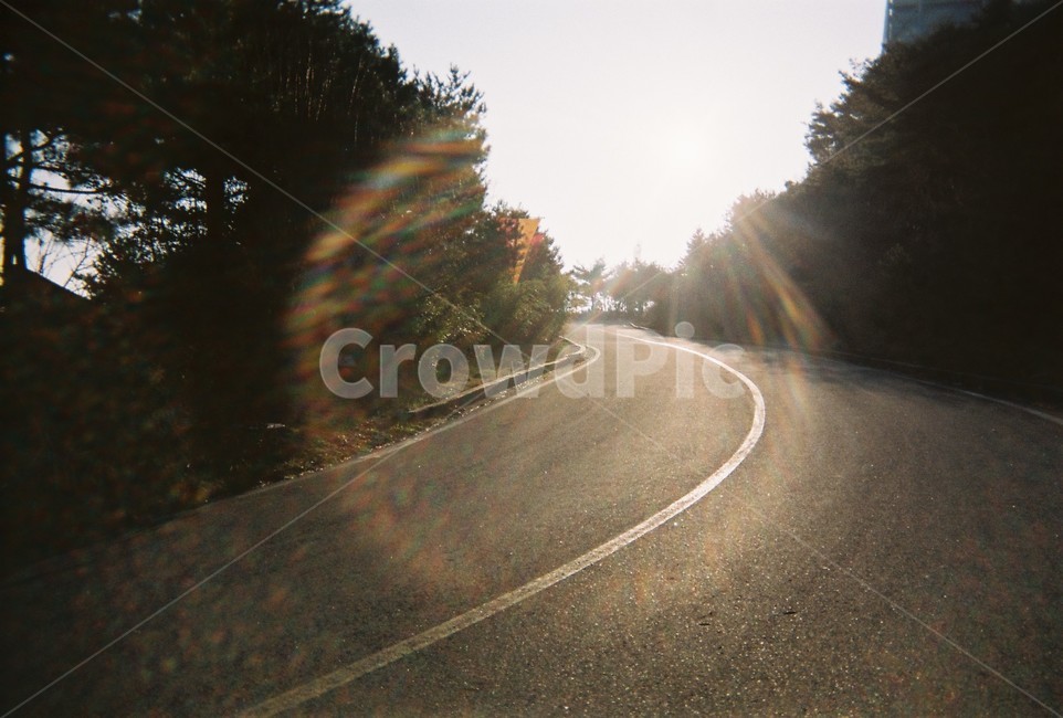 도로,산간,동그란빛,감성,햇빛,외출,햇살,나른한오후,road,sunlight,afternoon,고독,산책,stroll