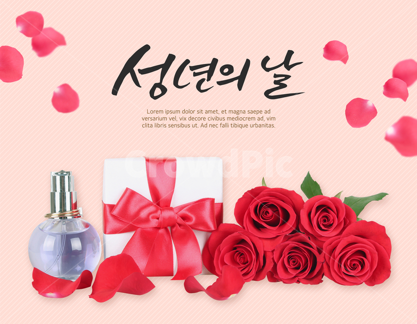 꽃잎,장미,향수,선물상자,캘리,캘리그라피,손글씨,붓글씨,이벤트,기념일,사랑,프로포즈,기념일,축하,anniversary,congratulation,celebrate,celebration,그래픽,일러스트레이션,graphic,illustration