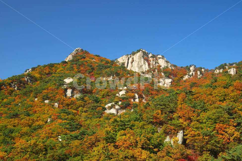 도봉산,산,단풍,가을,계절,풍경,자연,나무,숲,산림,삼림,봉,봉우리,산봉우리,등산,바위,바위산,능선,절경,국립공원,하늘,서울,한국,가을,계절,fall,autumn,season,자연,풍경,nature,landscape,한국자연풍경,한국자연경관,korea nature landscape,outdoors,옥외,mountain range,산맥,mountain