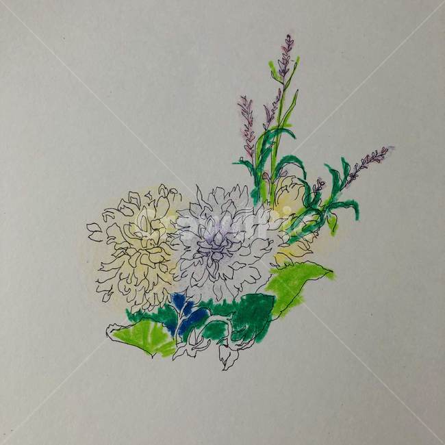 일러스트,illustration,flower,삽화,꽃,그림