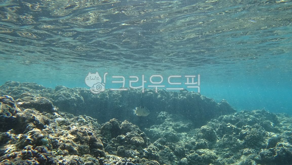 nature, 자연, outdoors, 옥외, water, 사진,이미지,일러스트,캘리그라피 - thdansrud작가