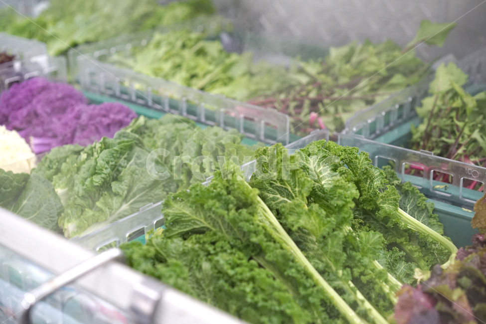 vegetables,야채,채소,신선한,유기농,식품,건강,상추,자연,채식,채식주의자,녹색,마트,시장,음식,식재료,요리,food,cook,meal,dishes,food reserves,채소,야채,vegetables