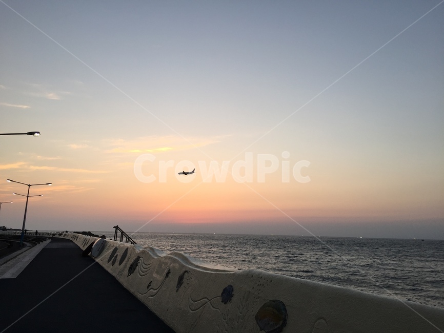 outdoors,비행기,jeju,landing,바다