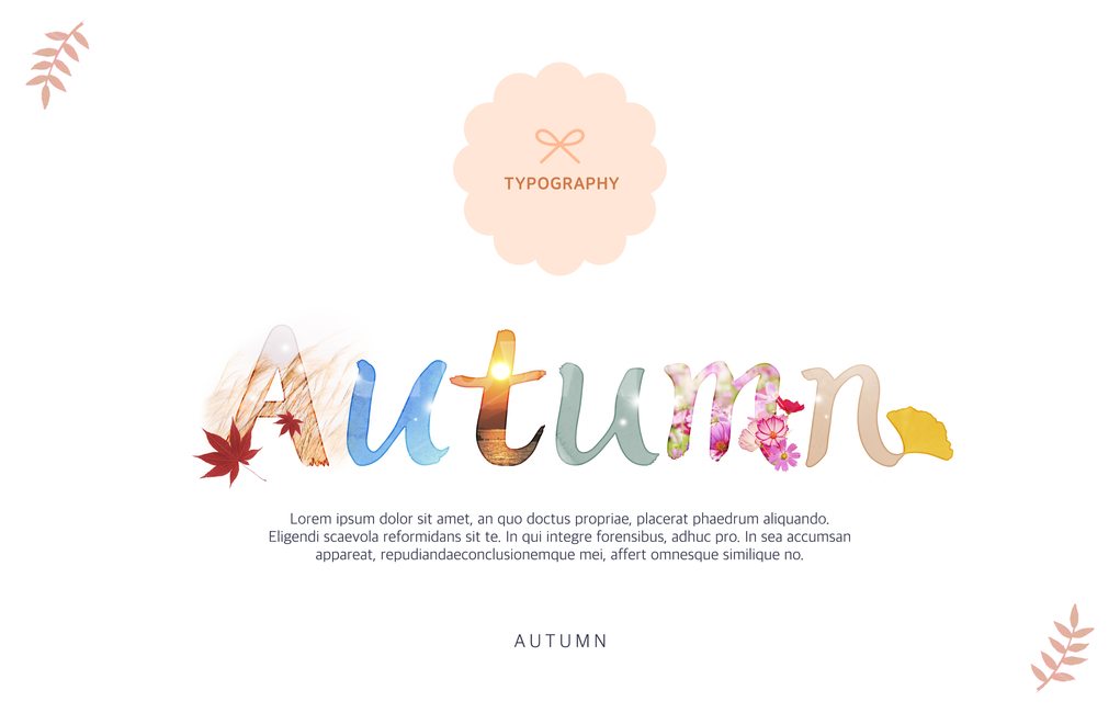 typography,ginkgo leaves,Callie,handwriting,autumn,Cosmos,calligraphy,Maple,Typography