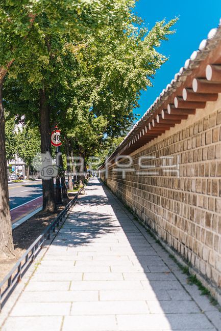 architecture,건축학,building,건물,경복궁,pallace,kyeongbokgung,파란하늘,하늘,bluesky,sky,blue,파랑,path,길,sidewalk,walkway,보도,flagstone,판석,city,도시,road,도로,street,거리
