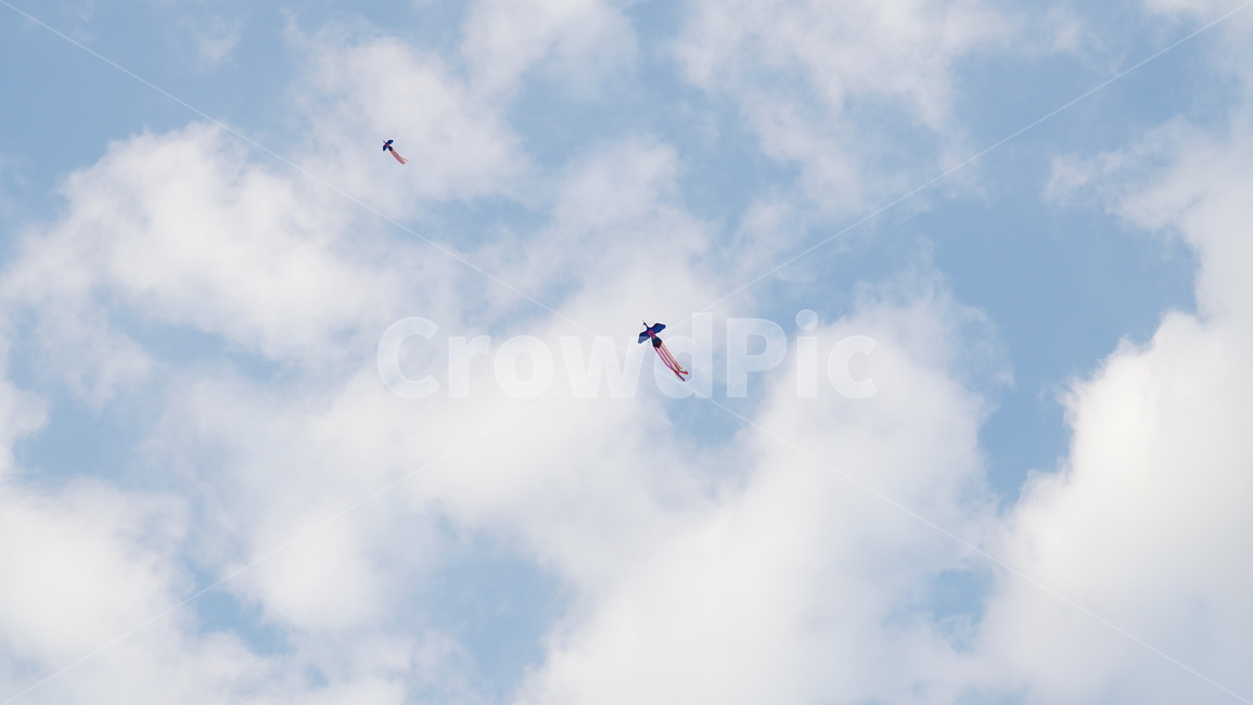 adventure,leisureactivities,레저활동,bird,새,animal,동물,flying,나는,gliding,활공,연,연날리기,독수리연,독수리,구름,파란하늘