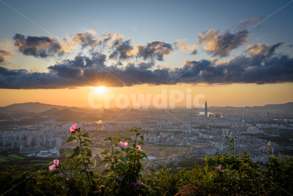 서울,야경,일몰,석양,구름,노을,롯데월드타워,롯데타워,무궁화,햇살,seoul,night,nightview,sunset,cloud,tower,flower,꽃,빌딩,도시,도심,building,롯데,타워,도시,풍경,city,landscape,한국도시풍경,한국도시경관,korea cityscape,식물,자연,plants,nature,꽃,flower,flare,플레어,light,빛,outdoors,옥외,sunlight,햇빛