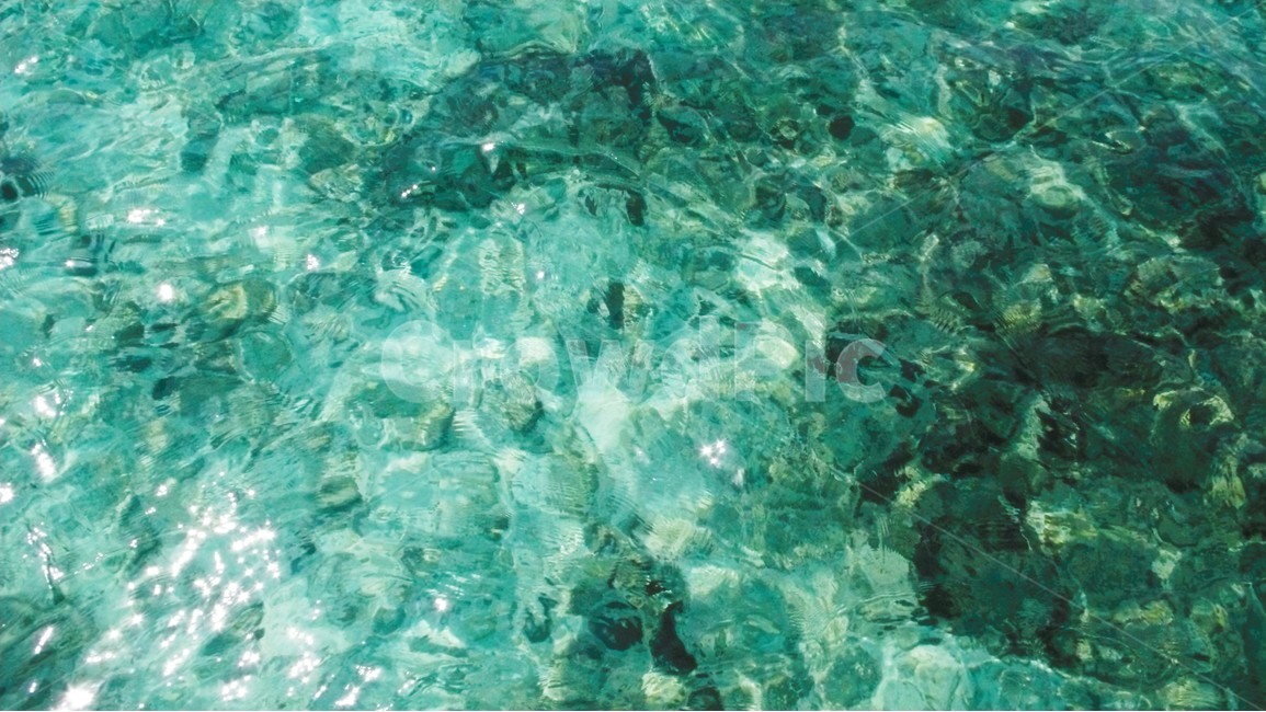 물,질감,texture,바다,여행,기원한,여름,휴양,태국,cleanbackground,cleanwater,clean,vacation,colorful,nature,ocean,design,water,background,blue,pool,abstract,pattern,surface,shiny,liquid,wet,aqua,자연,풍경,nature,landscape,텍스처,질감,패턴,texture,pattern,sea,대양,outdoors,옥외,animal,동물,sea life,해양 생물,reef,암초