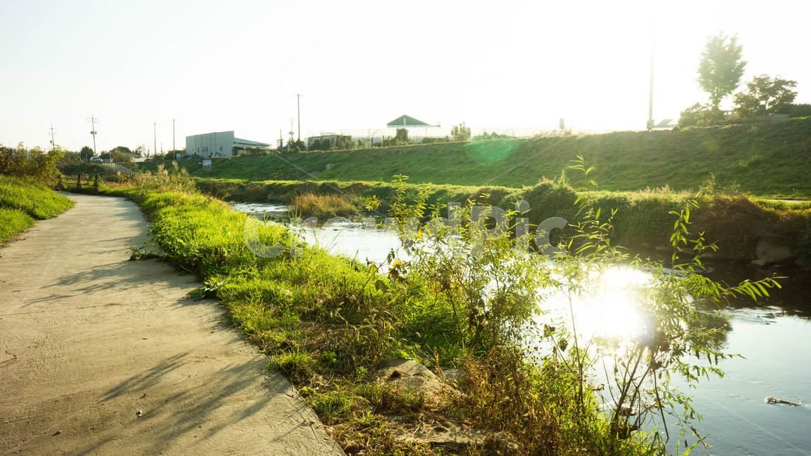 옥외,도랑,물,water,nature,자연