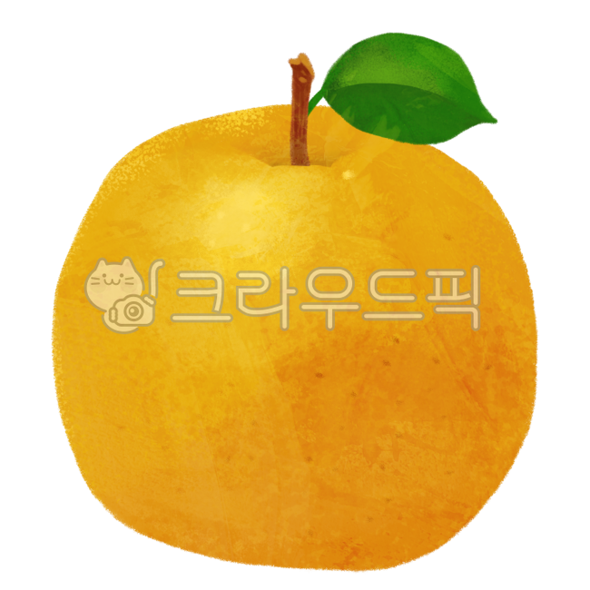 배, 과일, 가을열매, 드로잉, 일러스트, 사진,이미지,일러스트,캘리그라피 - 소미쌤작가
