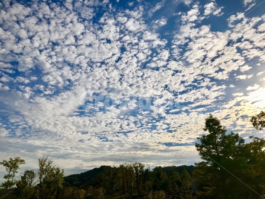 자연,하늘,구름,양떼,배경화면,사랑,자연,풍경,nature,landscape,outdoors,옥외,weather,날씨,cloud,cumulus,적운,sky
