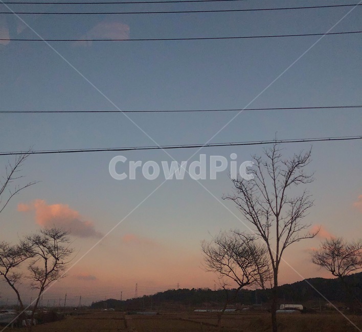 하늘,구름,노을,나무,sky