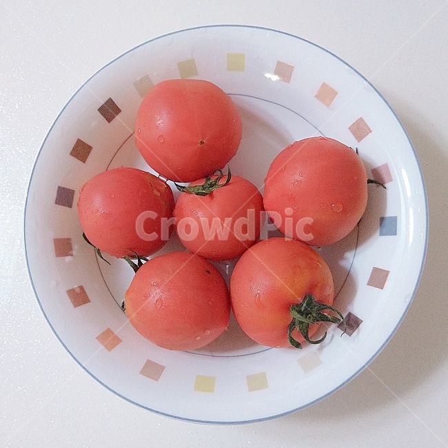 토마토,채소,음식,일년감,tomato