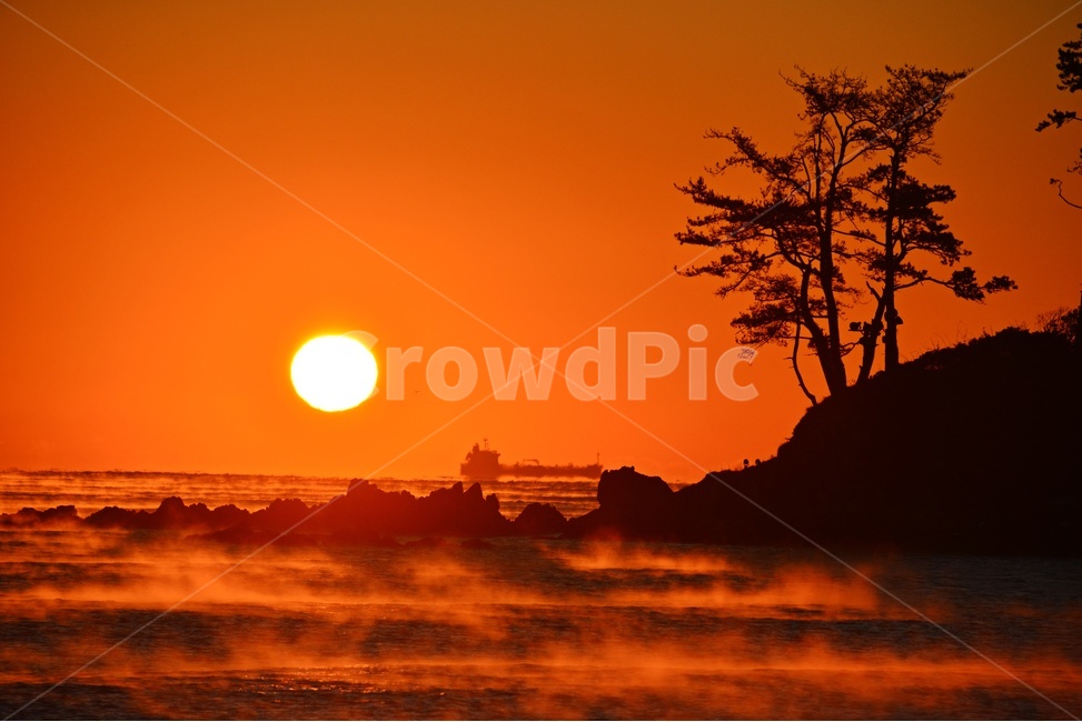 nature,자연,outdoors,옥외,sky,하늘,dawn,새벽,redsky,붉은하늘,sunlight,햇빛,울산,울주,명선도,강양항,명선도아침,일출,해돋이,여명,소나무,경치,경관,풍경,물안개,자연,풍경,nature,landscape