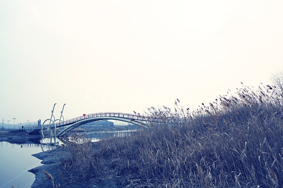 미생의다리,다리,생태공원,자연,풍경,배경,건축물,건물외관,exterior,building,structure,architecture,construction