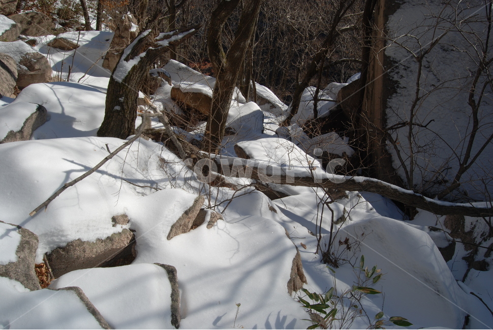 자연,nature,산,mountian,휴양지,겨울,계절,winter,season,자연,풍경,nature,landscape,outdoors,옥외