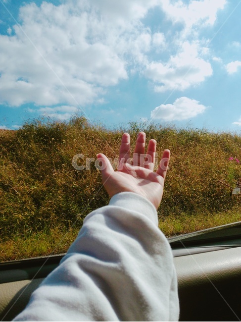 손,풍경,자연,감성,여행,하늘,나무,드라이브,사람,인물,인간,human,person,신체일부,몸,body