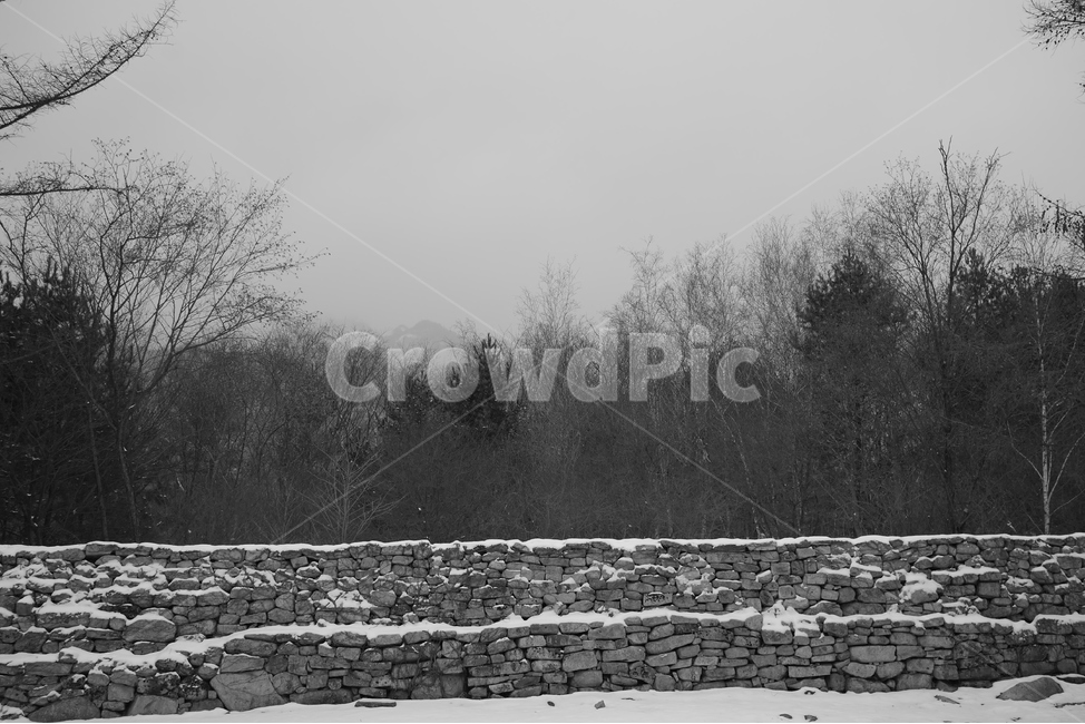 돌담,눈,눈오는날,흑백사진,겨울,겨울숲,문경새재,숲,나무,wall,snow,snowingday,winter,forest,tree,겨울,계절,winter,season,흑백,모노톤,monochrome,black and white