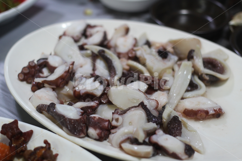 문어,문어회,문어숙회,삶은문어,해산물,음식,식재료,요리,food,cook,meal,dishes,food reserves,수산물,해산물,fishery products,seafood,한식,한국음식,한국요리,korean food,korean dishes,korean meal,korean cook