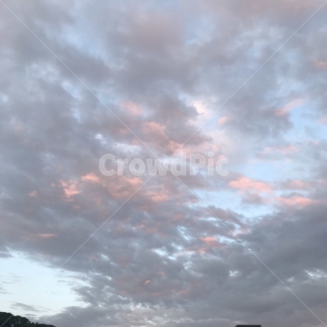 색감,감성,감성사진,휴식,힐링,풍경,배경,느낌,사진,구름,핑크,하늘,sensitive,film,sky,color,pink,clear,feeling,picture