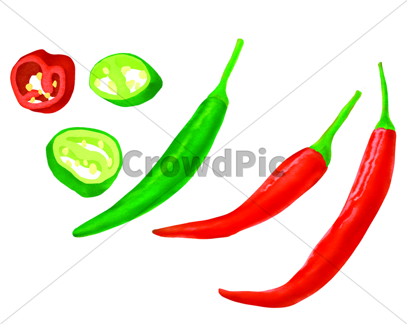 고추,일러스트레이션,illustration,매운,매운맛,양념,재료,식재료,김장재료,김치,hotpapper,chillipepper,빨간색,초록색,매콤한,음식재료,요리재료,맛,푸드,음식,먹거리,야채,채소,식물,red,green,food,cook,meal,disches,foodreserves