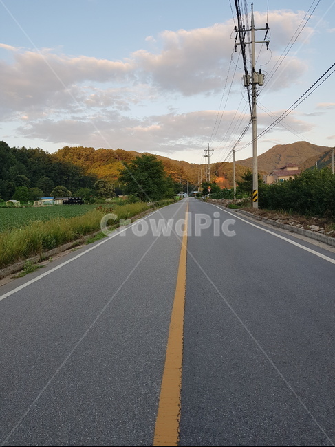 road,도로,asphalt,아스팔트,농촌,길,길가,길가,조용한,곧은,뻥뚫린,분위기,새벽,시골,마을,풍경,landscape,country,rural,town,교통,교통수단,traffic,transportation