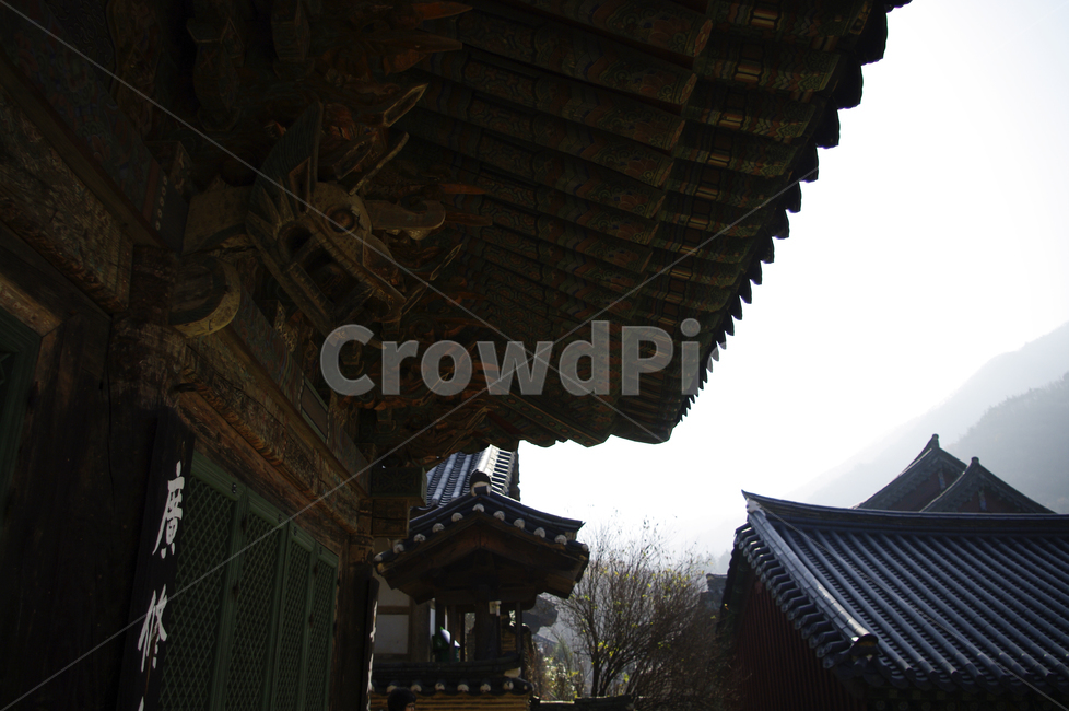 전각,사찰,전통,기와지붕,단청,한국전통,한국문화,korean traditional,korean culture,건축물,건물외관,exterior,building,structure,architecture,construction