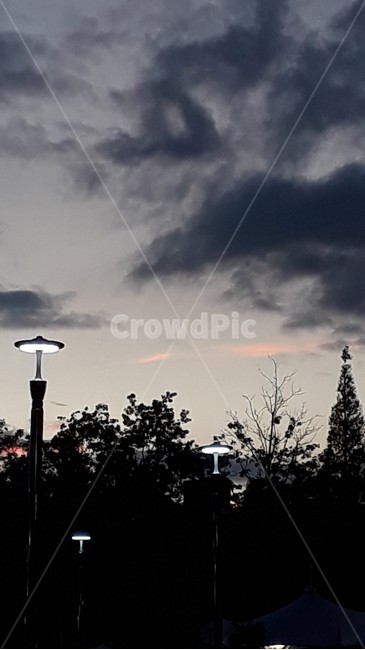 lamppost,램프포스트,가로등,밤,풍경,자연,풍경,nature,landscape,lamp post,램프 포스트