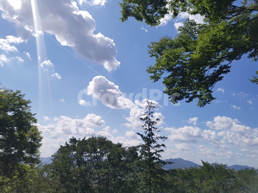 하늘,구름,햇살,나무,산