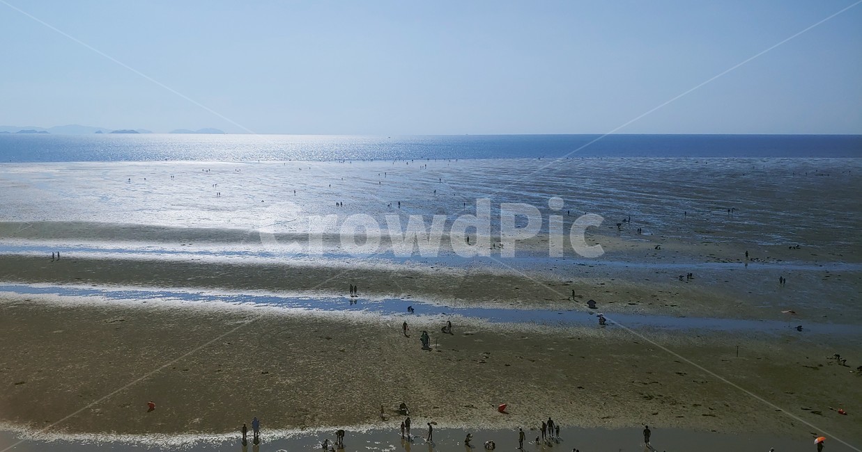 nature,자연,바다,물,sea