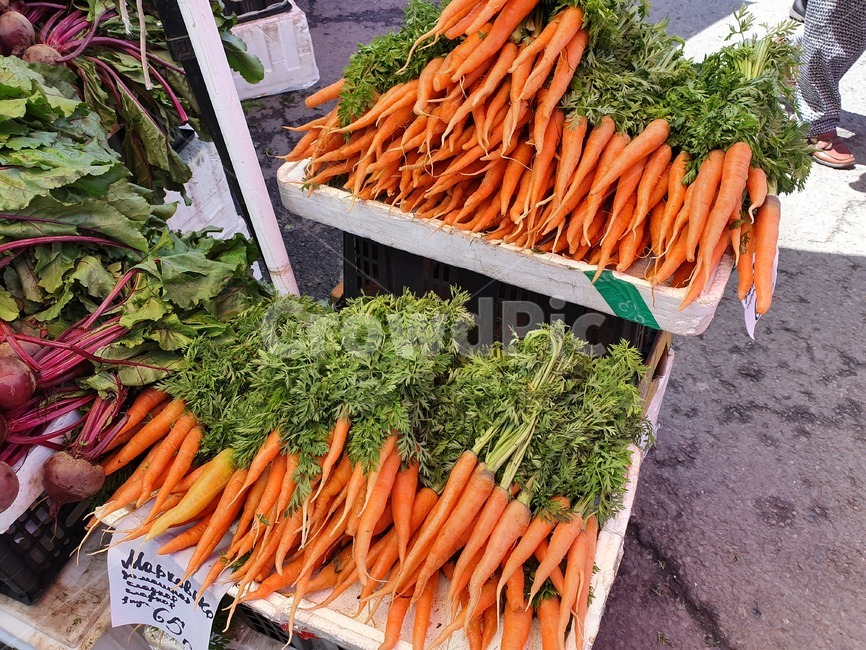 당근,식물,시장,market,야채,채소,vegetable,plant
