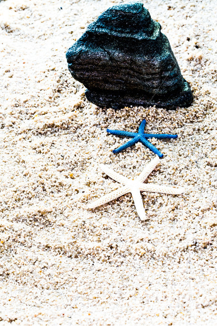 모래,바닷가,불가사리,별,휴가,문양,해변,바다,beach,sea