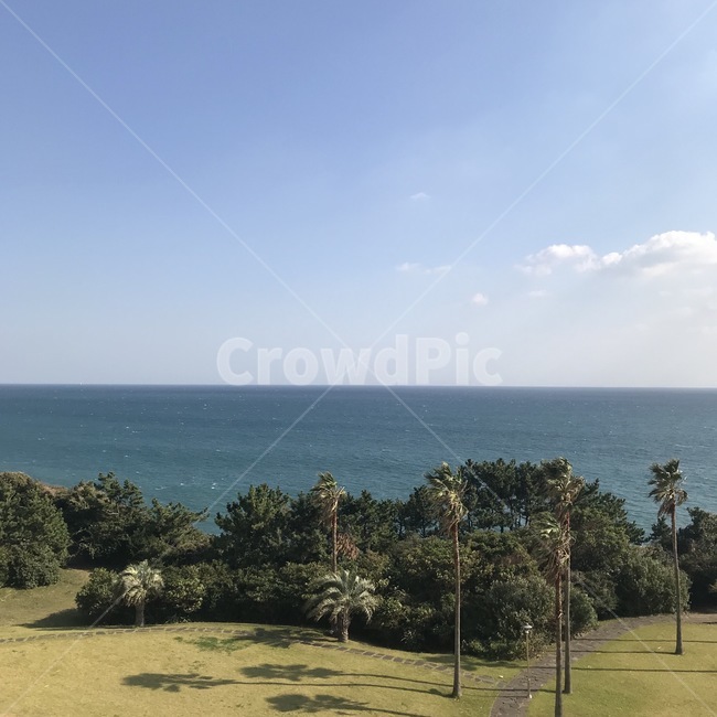제주도,해변,바다,jeju,beach