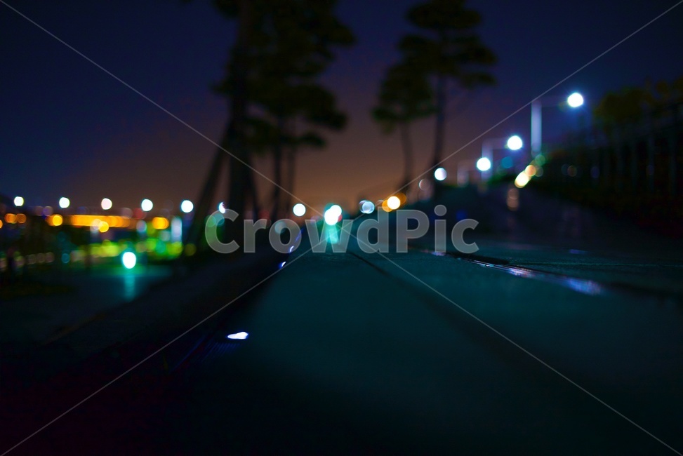 road,도로,light,빛,한강공원,야경