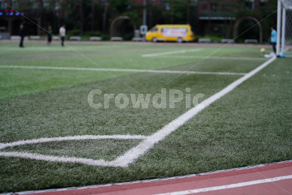 field,들,축구장,경기장,운동,스포츠,축구,soccer,스포츠,레저,운동,sports,leisure,exercise