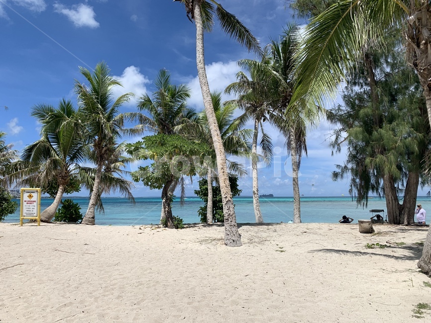 사이판,바다,마나가하,마나가하섬,섬,야자수,여름,summer,해변,바다,beach,sea