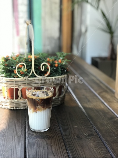 커피,카페라떼,아이스커피,아이스라떼,바닐라라떼,coffee,cafelatte,icecoffee,icelatte,음료수,drink,beverage,커피,카페,coffee,cafe