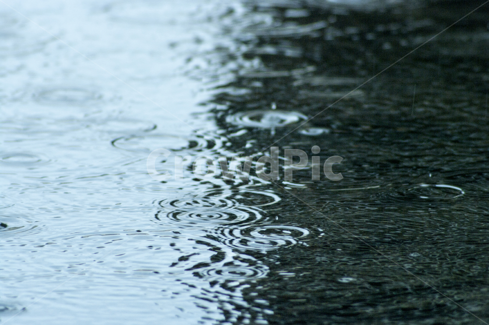 water,outdoors,옥외,ripple,리플,비,동심원,괘적,비,비오는날,rain,rainy